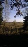 16_07_48.jpg