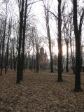 16_28_40.jpg