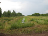 13_16_16.jpg