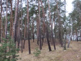 13_49_41.jpg