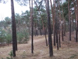 13_49_56.jpg
