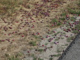 10_58_53.jpg