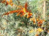 16_04_02.jpg
