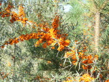 16_04_05.jpg