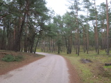 14_15_46.jpg
