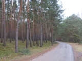 14_26_45.jpg