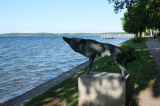 2021_08_08-08_42_27.jpg