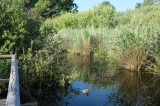 2021_08_08-08_49_05.jpg