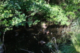 2021_08_08-08_51_09.jpg