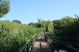 2021_08_08-08_51_09.jpg.001