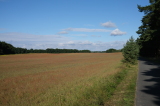 2021_08_08-09_17_40.jpg