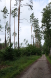 2021_08_08-10_03_19.jpg.001