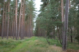 2021_08_08-11_46_05.jpg