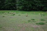 2021_08_08-13_42_16.jpg