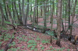 2021_08_08-13_55_01.jpg