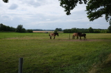 2021_08_08-15_26_14.jpg
