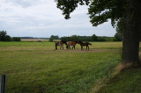 2021_08_08-15_26_18.jpg