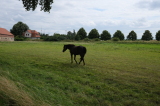 2021_08_08-15_26_22.jpg