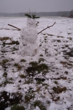 2021_12_12-08_17_10.jpg
