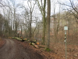 2024_03_03-10_45_54.jpg