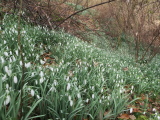 2024_03_03-10_53_21.jpg
