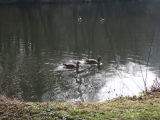 2024_03_03-11_00_41.jpg