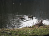 2024_03_03-11_00_44.jpg
