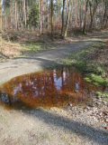 2024_03_03-12_06_50.jpg