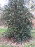 2024_03_03-13_28_09.jpg