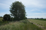 2024_07_07-10_09_19.jpg