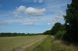 2024_07_07-10_09_27.jpg