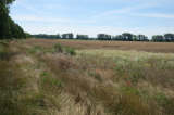 2024_07_07-10_14_49.jpg