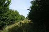 2024_07_07-11_17_52.jpg