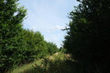 2024_07_07-11_18_04.jpg
