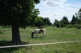 2024_07_07-11_51_49.jpg
