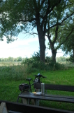 2024_07_07-12_01_01.jpg