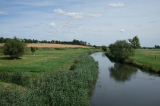 2024_07_07-13_04_25.jpg