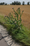 2024_07_07-14_21_19.jpg
