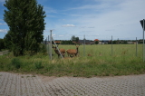 2024_07_07-15_01_07.jpg