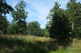 2024_07_07-15_14_34.jpg