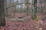 2025_02_02-10_10_49.jpg