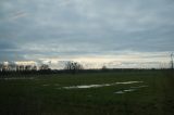 2025_02_02-14_54_09.jpg