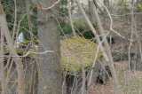 2026_04_12-10_00_54.jpg