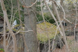 2026_04_12-10_00_54.jpg.001