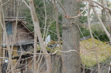 2026_04_12-10_00_56.jpg
