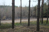 2026_04_12-11_00_23.jpg
