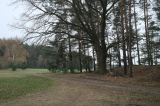 2026_04_12-13_19_01.jpg