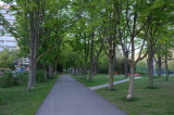 2026_04_23-19_31_27.jpg