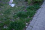 2026_04_23-19_34_52.jpg