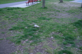2026_04_23-19_34_55.jpg